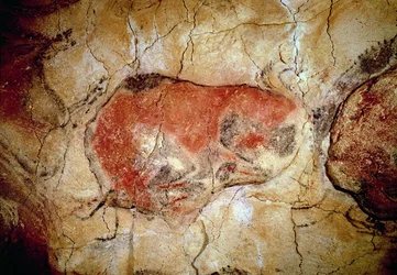 Bison aus den Höhlen von Altamira, Jungpaläolithikum, ca. 15000-8000 v. Chr.
